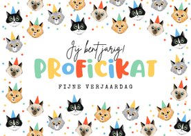 Verjaardagskaart grappig katten poezen confetti proficikat