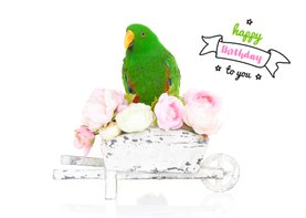 Verjaardagskaart - Groene papegaai bloemetjes