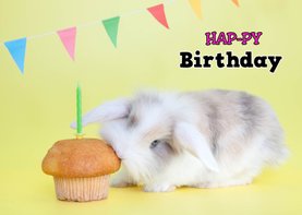 Verjaardagskaart - Hap-py Birthday - Konijntje hapt cupcake