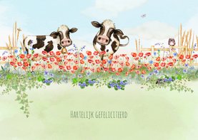 Verjaardagskaart met rode klaprozen en koeien