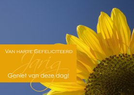 Verjaardagskaart met zonnebloem