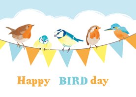 Verjaardagskaart slinger vogels