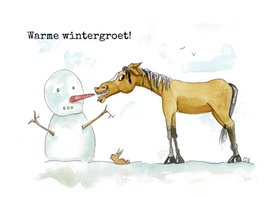 Zomaar kaarten warme wintergroet Sjors met sneeuwpop