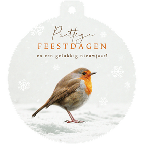 Kerstkaart roodborstje kerstbal winter sneeuwvlokken kerst