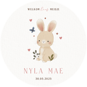 Lief geboortekaartje konijntje plantjes vlinder en hartjes