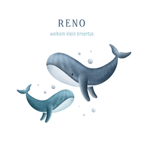 Lief rond geboortekaartje broertje met 2 walvissen 