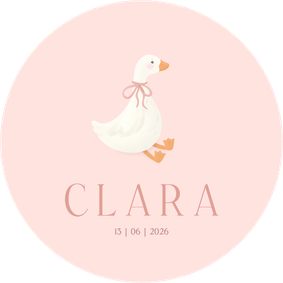 Lief roze geboortekaartje rond met schattig gansje