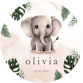 Rond geboortekaartje lief olifantje roze jungle thema