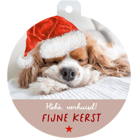 Verhuiskaart hondje met kerstmuts