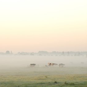 4k Zonsopkomst met ochtendmist