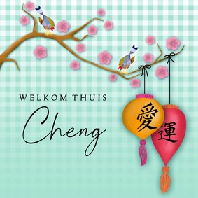 Adoptiekaartje - From China