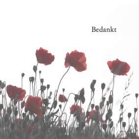 Bedankkaart na overlijden-papaver kleur