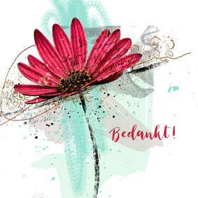 Bedankt Magenta Gerbera