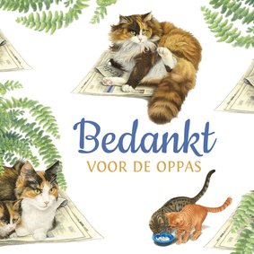 Bedankt voor de oppas katten