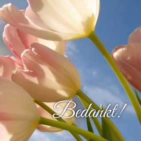 bedanktkaart tulpen - LB