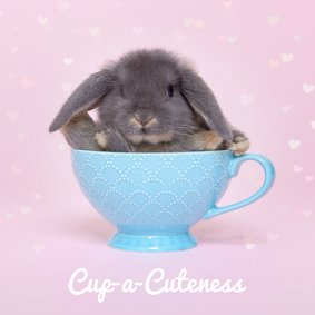 Beterschap - Cup a Cuteness