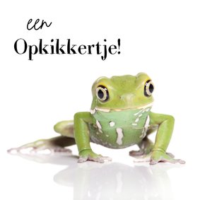 Beterschap! - De opkikker kikker