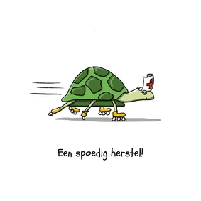 Beterschap een spoedig herstel schildpad kaart