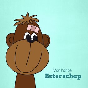 Beterschap kind lief aapje met een pleister