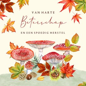 Beterschap paddestoelen herfst