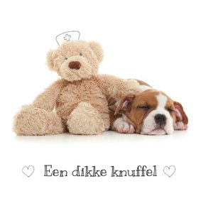 Beterschap - Puppy met knuffel