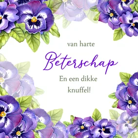Beterschap violen