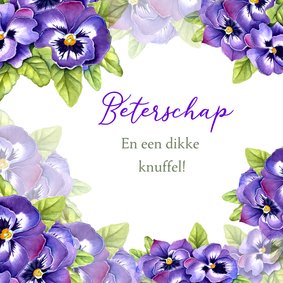 Beterschap violen