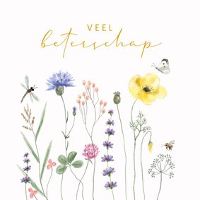 Beterschap - Watercolor veldbloemen met vlinder