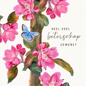 Beterschapskaart appelbloesem