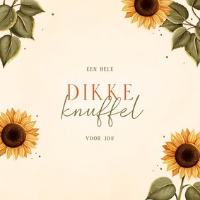 Beterschapskaart dikke knuffel met zonnebloemen