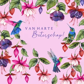 Beterschapskaart fuchsiabloemen kolibrievogeltjes