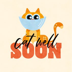 Beterschapskaart grappig kat cat well soon