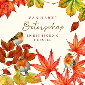 Beterschapskaart herfst roodborstjes