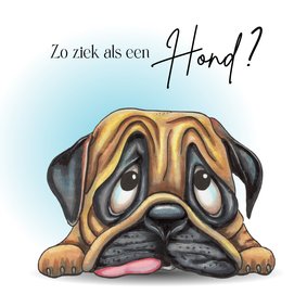 Beterschapskaart hond