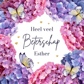Beterschapskaart hortensia bloemen paars vlinders beterschap