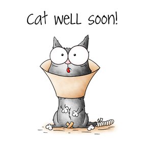 Beterschapskaart kat - Cat well soon!