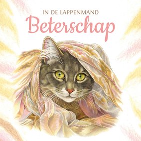 Beterschapskaart kat in de lappenmand