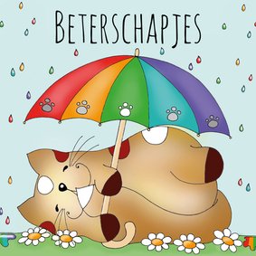 Beterschapskaart kat in de regen(boog)