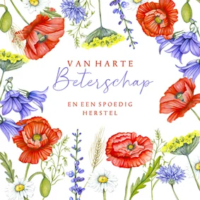 Beterschapskaart klaprozen veldbloemen