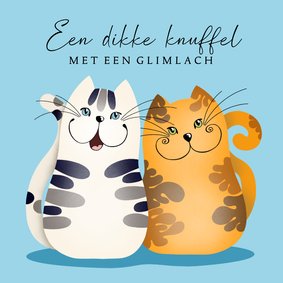 Beterschapskaart - Knuffelige katten