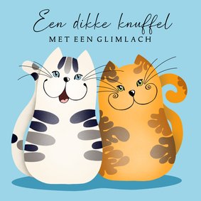 Beterschapskaart - Knuffelige katten