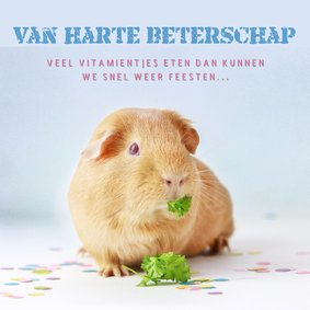 Beterschapskaart met cavia en groente