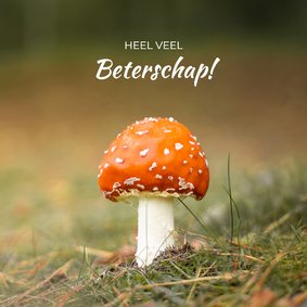Beterschapskaart met een klein rood paddenstoeltje