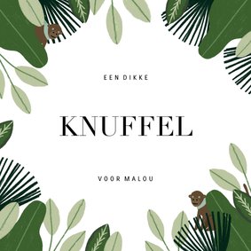 Beterschapskaart met jungle, aapje en dikke knuffel