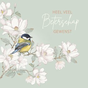 Beterschapskaart met koolmees op witte magnolia