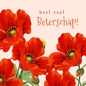 Beterschapskaart met rode klaprozen bloemen