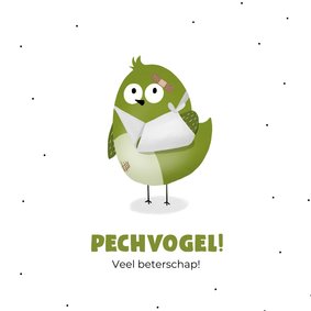 Beterschapskaart pechvogel 