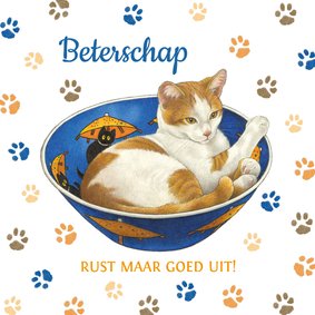 Beterschapskaart rustende kat