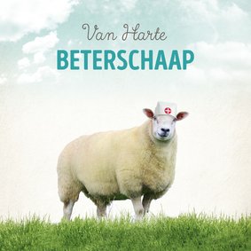 Beterschapskaart Schaap-99