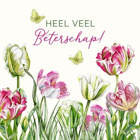 Beterschapskaart tulpen in het voorjaar